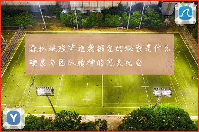 森林狼残阵逆袭掘金的秘密是什么硬度与团队精神的完美结合